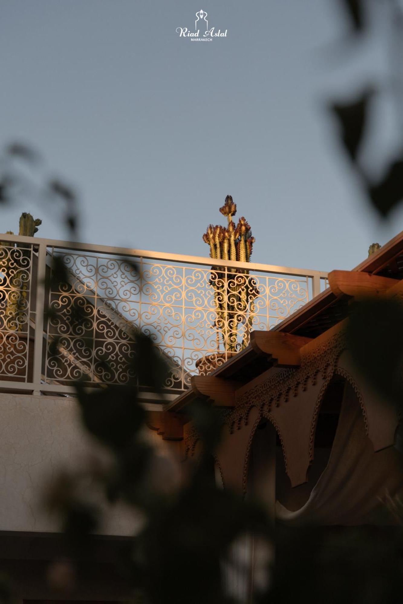 Riad Aslal 마라케시 외부 사진